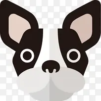 ��ʿ�ٹ� ���� ��ͨ-������