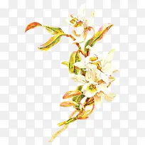 卡通 花 植物-空若网 卡通 花 植物-空若网