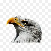 水彩画 颜料 湿墨-空若网 水彩画 颜料 湿墨-空若网