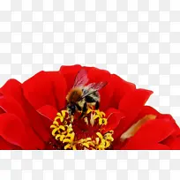 水彩画 颜料 湿墨-空若网 水彩画 颜料 湿墨-空若网