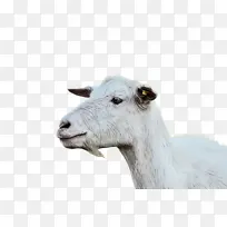 水彩画 颜料 湿墨水-空若网 水彩画 颜料 湿墨水-空若网