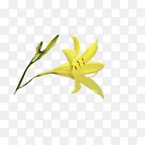 水彩画 颜料 湿墨-空若网 水彩画 颜料 湿墨-空若网