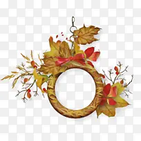 叶子 树枝 植物-空若网 叶子 树枝 植物-空若网