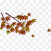 叶 树 植物-空若网 叶 树 植物-空若网