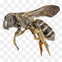 ���� ��Ӭ �۷�-������