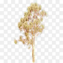 卡通 植物 树-空若网 卡通 植物 树-空若网