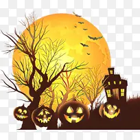 ��ͨ ��ɫ ��ɫ-������