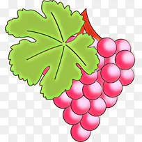 卡通 叶子 葡萄叶子-空若网 卡通 叶子 葡萄叶子-空若网