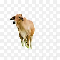 Ë®²Ê» ÓÍÆá ʪīˮ-¿ÕÈôÍø Ë®²Ê» ÓÍÆá ʪīˮ-¿ÕÈôÍø