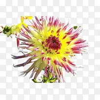 水彩 颜料 湿墨-空若网 水彩 颜料 湿墨-空若网