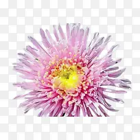 水彩画 颜料 湿墨-空若网 水彩画 颜料 湿墨-空若网