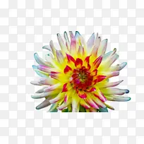 水彩画 颜料 湿墨-空若网 水彩画 颜料 湿墨-空若网