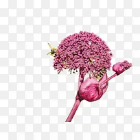 ˮ�� ���� ʪī-������