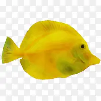 Ë®²Ê» ÑÕÁÏ ÊªÄ«Ë®-¿ÕÈôÍø Ë®²Ê» ÑÕÁÏ ÊªÄ«Ë®-¿ÕÈôÍø