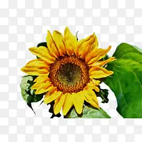 水彩画 颜料 湿墨-空若网 水彩画 颜料 湿墨-空若网