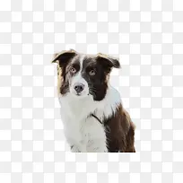 水彩 油漆 湿墨水-空若网 水彩 油漆 湿墨水-空若网