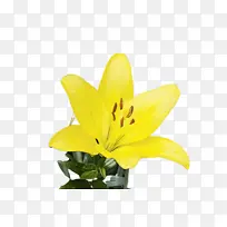 水彩 颜料 湿墨-空若网 水彩 颜料 湿墨-空若网