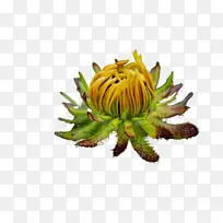 水彩画 颜料 湿墨-空若网 水彩画 颜料 湿墨-空若网