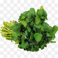 ˮ�ʻ� ���� ʪī-������