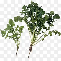 水彩画 油漆 湿墨-空若网 水彩画 油漆 湿墨-空若网