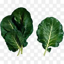 水彩 油漆 湿墨-空若网 水彩 油漆 湿墨-空若网