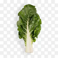 ˮ�� ���� ʪī-������