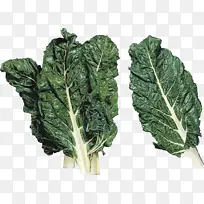 水彩画 油漆 湿墨-空若网 水彩画 油漆 湿墨-空若网