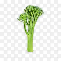 水彩画 油漆 湿墨水-空若网 水彩画 油漆 湿墨水-空若网