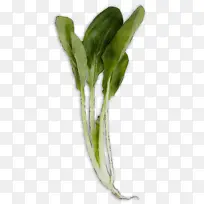 水彩画 油漆 湿墨-空若网 水彩画 油漆 湿墨-空若网