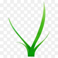 Ë®²Ê» ÑÕÁÏ ÊªÄ«-¿ÕÈôÍø Ë®²Ê» ÑÕÁÏ ÊªÄ«-¿ÕÈôÍø