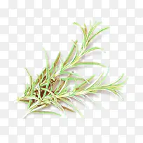 卡通 草 植物-空若网 卡通 草 植物-空若网