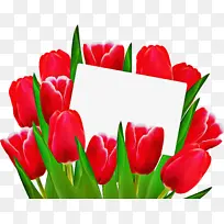 ������ ����ֲ�� ����-������