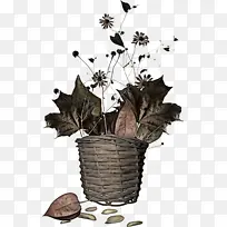 �� Ҷ ����-������