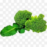 Î÷À¼»¨ Ê®×Ö»¨¿ÆÊß²Ë Ò¶ÀàÊß²Ë-¿ÕÈôÍø Î÷À¼»¨ Ê®×Ö»¨¿ÆÊß²Ë Ò¶ÀàÊß²Ë-¿ÕÈôÍø