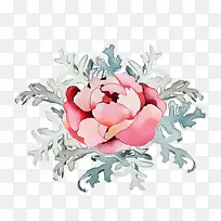 花 粉色 植物-空若网 花 粉色 植物-空若网