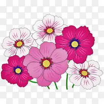 �� ��ɫ ֲ��-������