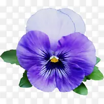 水彩画 颜料 湿墨-空若网 水彩画 颜料 湿墨-空若网