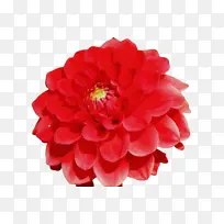 ˮ�� ���� ʪī-������