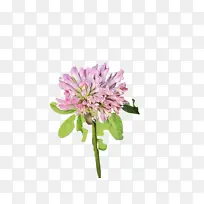 水彩画 油漆 湿墨-空若网 水彩画 油漆 湿墨-空若网