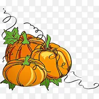 天然食品 南瓜 蔬菜-空若网 天然食品 南瓜 蔬菜-空若网