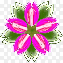 粉色 花朵 花瓣-空若网 粉色 花朵 花瓣-空若网