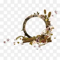 叶子 植物 树枝-空若网 叶子 植物 树枝-空若网