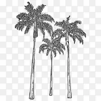 �ɹ���Ʒ�� ����� ֲ��-������