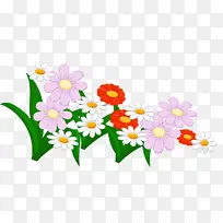 花卉 花瓣 植物-空若网 花卉 花瓣 植物-空若网