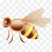 ��ͨ ���� �۷�-������