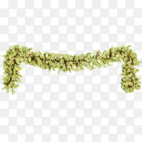 卡通 植物 草-空若网 卡通 植物 草-空若网