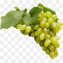 水彩画 油漆 湿墨水-空若网 水彩画 油漆 湿墨水-空若网