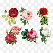 水彩 油漆 湿墨-空若网 水彩 油漆 湿墨-空若网