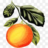 水彩画 颜料 湿墨-空若网 水彩画 颜料 湿墨-空若网