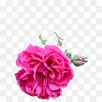 水彩 颜料 湿墨-空若网 水彩 颜料 湿墨-空若网